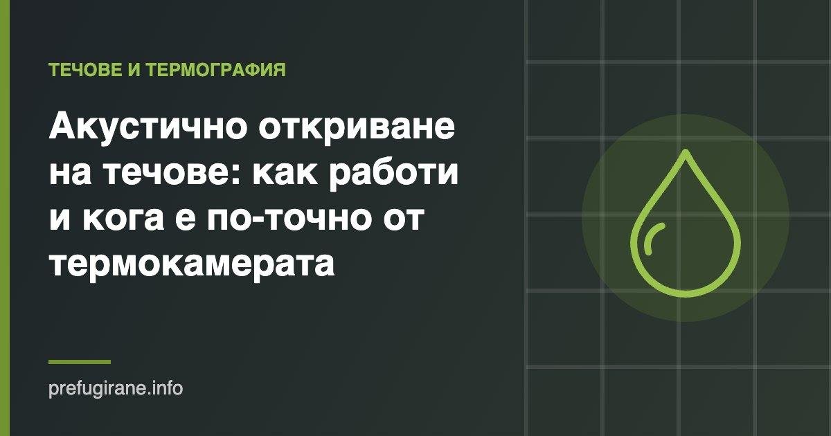 Акустично откриване на течове и термокамера